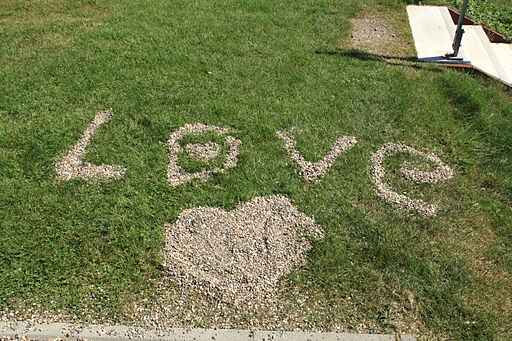 Love Heart In Grass Love Heart In Grass